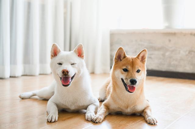 最近一些搞笑的梗，20句神反转搞笑朋友圈文案哈哈哈哈哈哈笑到头掉