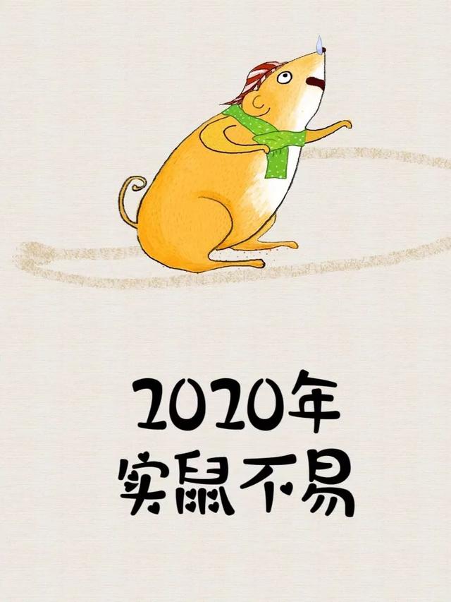 75年属兔未来5年财运，希望这2023年兔然暴富