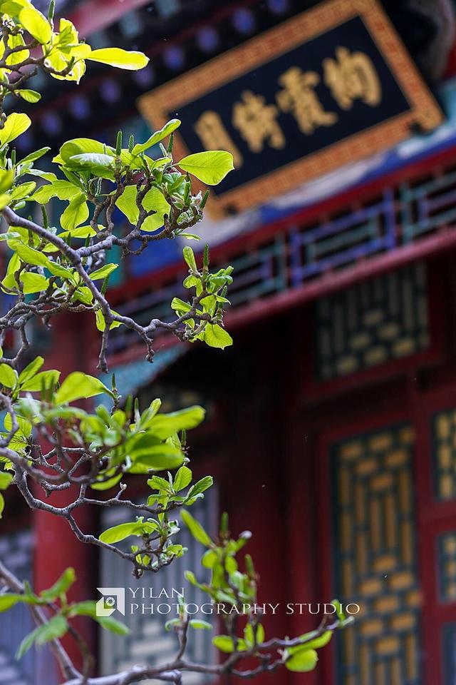 北京游玩攻略，北京攻略3日游自助游（这篇攻略全部告诉你）