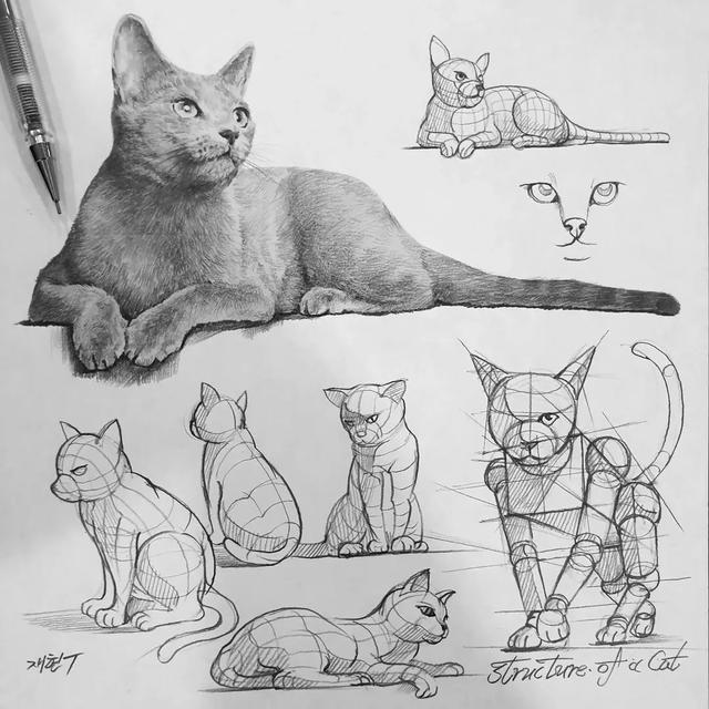 素描技巧和画法，画好素描的步骤（素描丨画好素描不是一蹴而就的）