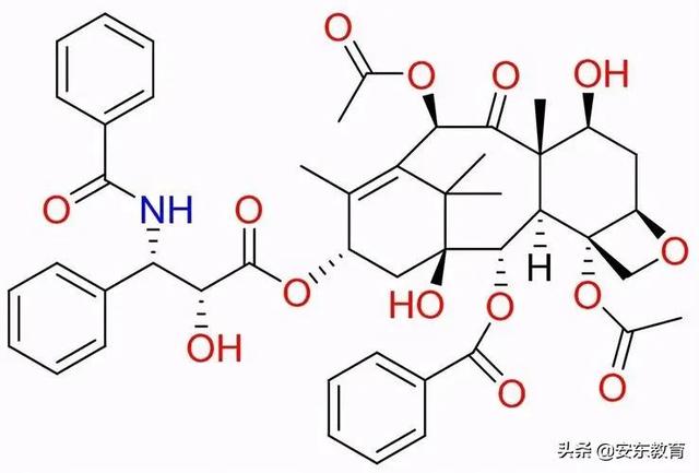 东北红豆杉的栽培及其价值，东北红豆杉的生长环境（“重症监护”中的古树）