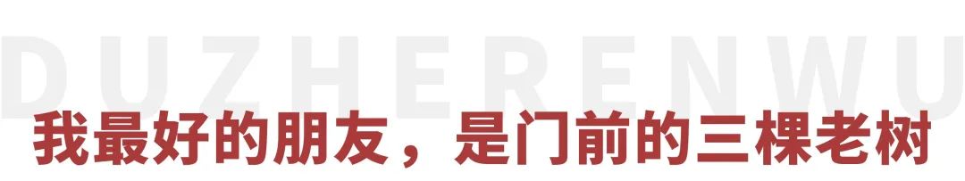 黄轩资料个人资料（从“倒霉”到红透，深扒黄轩成长史）