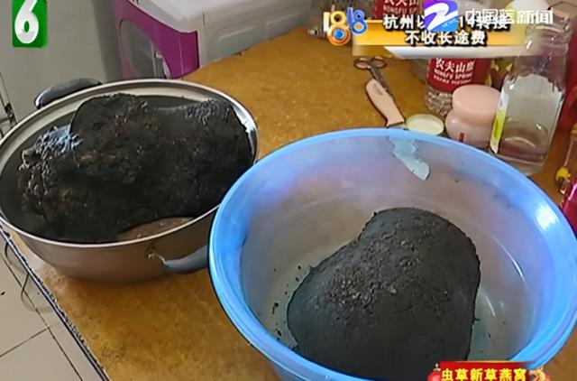 太岁是怎么形成的，化解太岁的三种方法（形成于4万年前、不是植物不是肉）