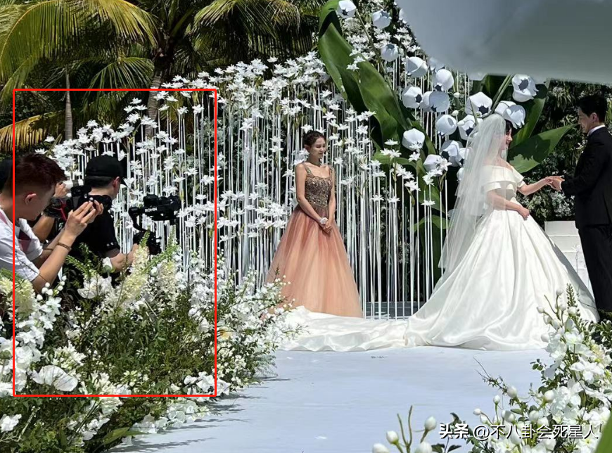 2022年注定离婚的属相男，2022年必定离婚的四大生肖男（2022年明星“婚姻榜”）