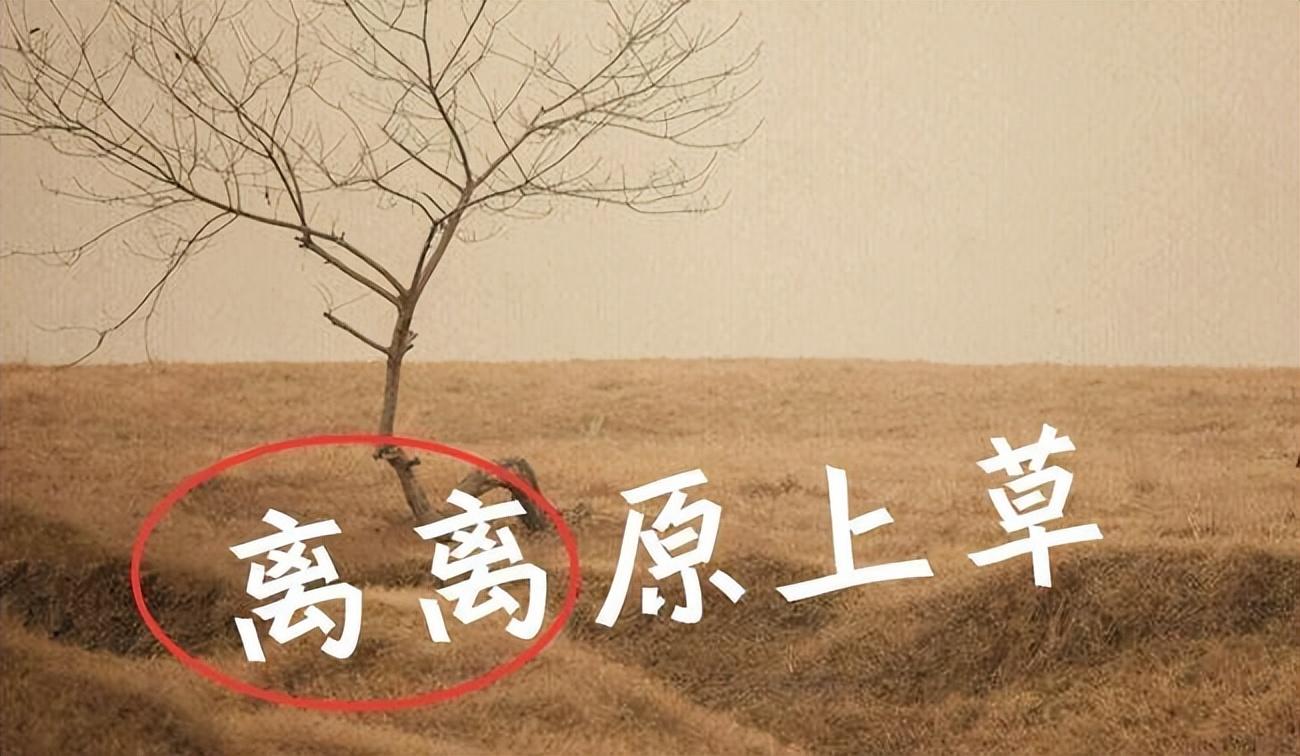 离离原上草的诗名,诗句"离离原上草"中的重叠词"离离"是什么意思-名字