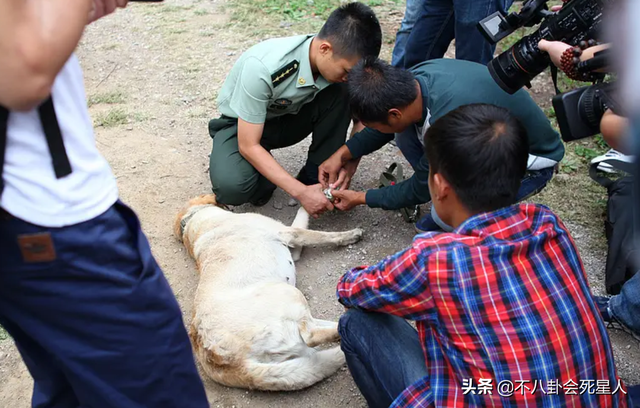 现代军旅电视剧大全集，军旅题材电视剧（《王牌部队》看不下去）