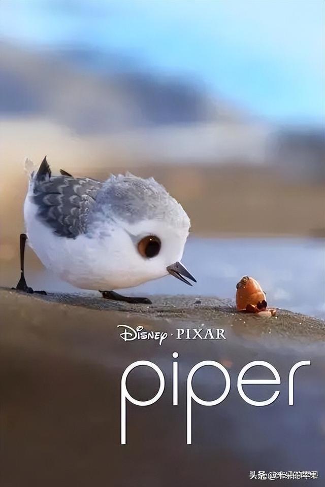 有内涵的动画片，最内涵的十大动漫是什么（一定要陪他看这5部动画短片）