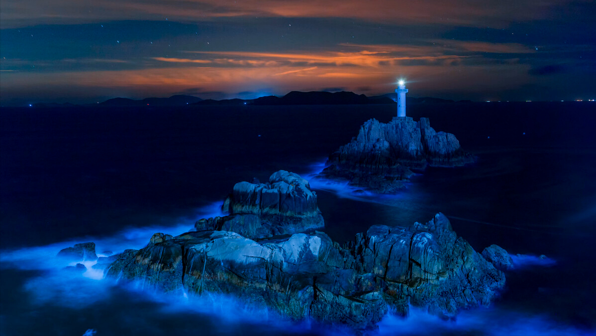 蓝眼泪海滩位于平潭岛在哪里，平潭岛旅游景点介绍蓝眼泪（福州平潭追“泪”打卡点）