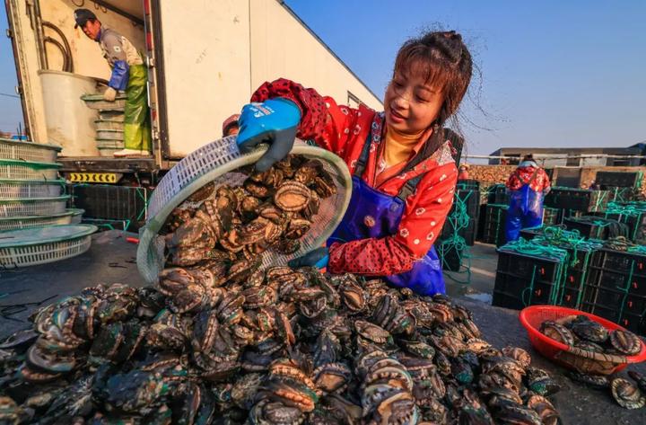 鹰爪虾是野生还是养殖,魂牵梦绕荣成那桌"***海鲜" - 玉三网