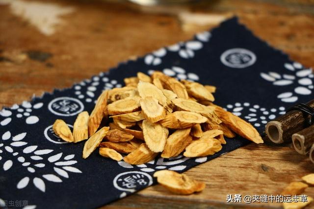 纹股蓝的功效与作用，讲一味小小的绞股蓝