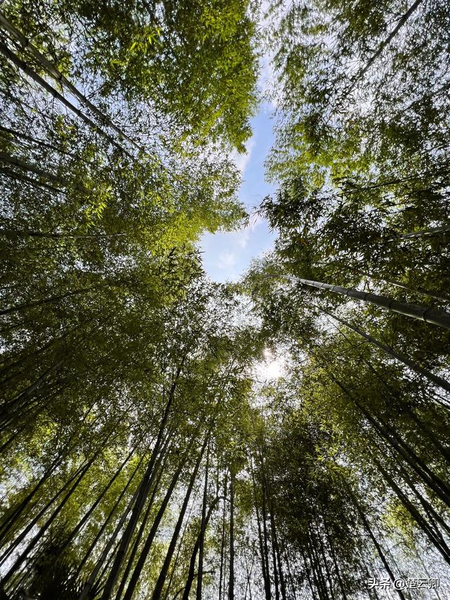 有关夏天的诗句有哪些，有关夏天的诗句古诗大全（22首描写夏天的古诗词）