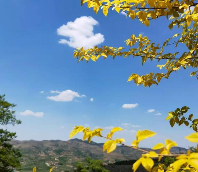 恋爱过程中会出现的7个阶段，恋爱的五个阶段你都经历了吗