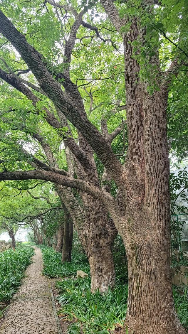 苏州太湖旅游景点，江苏无锡市太湖区旅游景点（苏州太湖岸边的风景园林——东山启园）