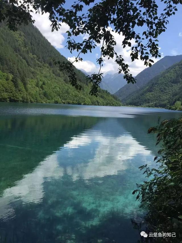 九寨归来不看水，九寨归来不看水的意思（黄山归来不看岳,九寨归来不看水的意思）