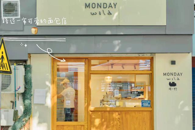 优美词句，优美词句段落（惊艳了时光的优美句子）