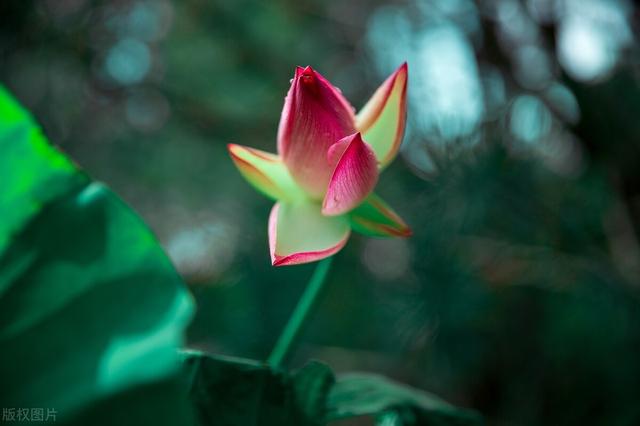 个性哲理说说，个性哲理说说短句（关于人生的哲理句子）