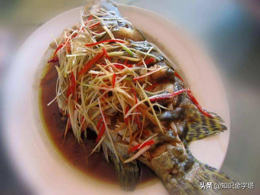 中国四大淡水名鱼之一：淡水鲈鱼，肉质鲜美营养丰富，备受食客青睐