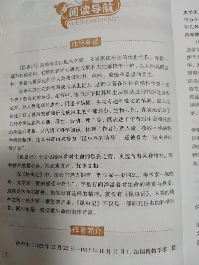 老象虫的外形特点，老象虫外表有何特点（一起读书——《昆虫记》）