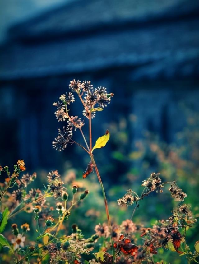 记录美好时光的句子，记录美好时光的短句（怀念曾经的美好时光）