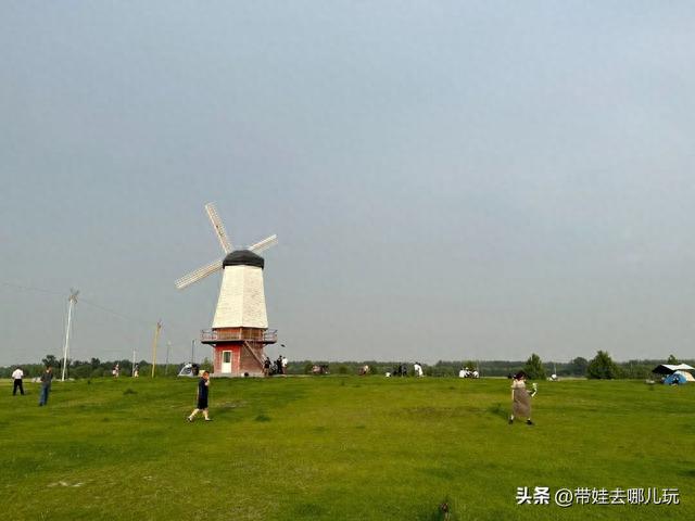 最佳油菜花观赏地，快来这里看油菜花海