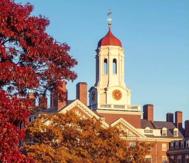 申请国外大学需要什么条件，申请国外大学（3所藤校不在Top10）