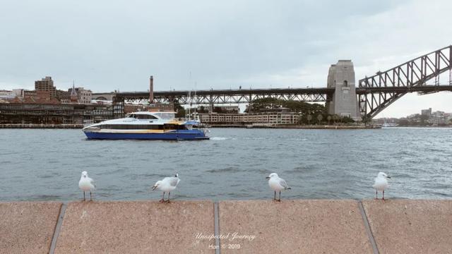 什么是具足虫，具足虫平安名堇（窥探奇异生物的世界）