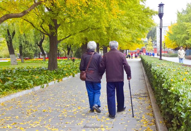 亚洲有多少个国家2022，欧洲有多少个国家（区域经济将迈入“高效益综合发展阶段”）