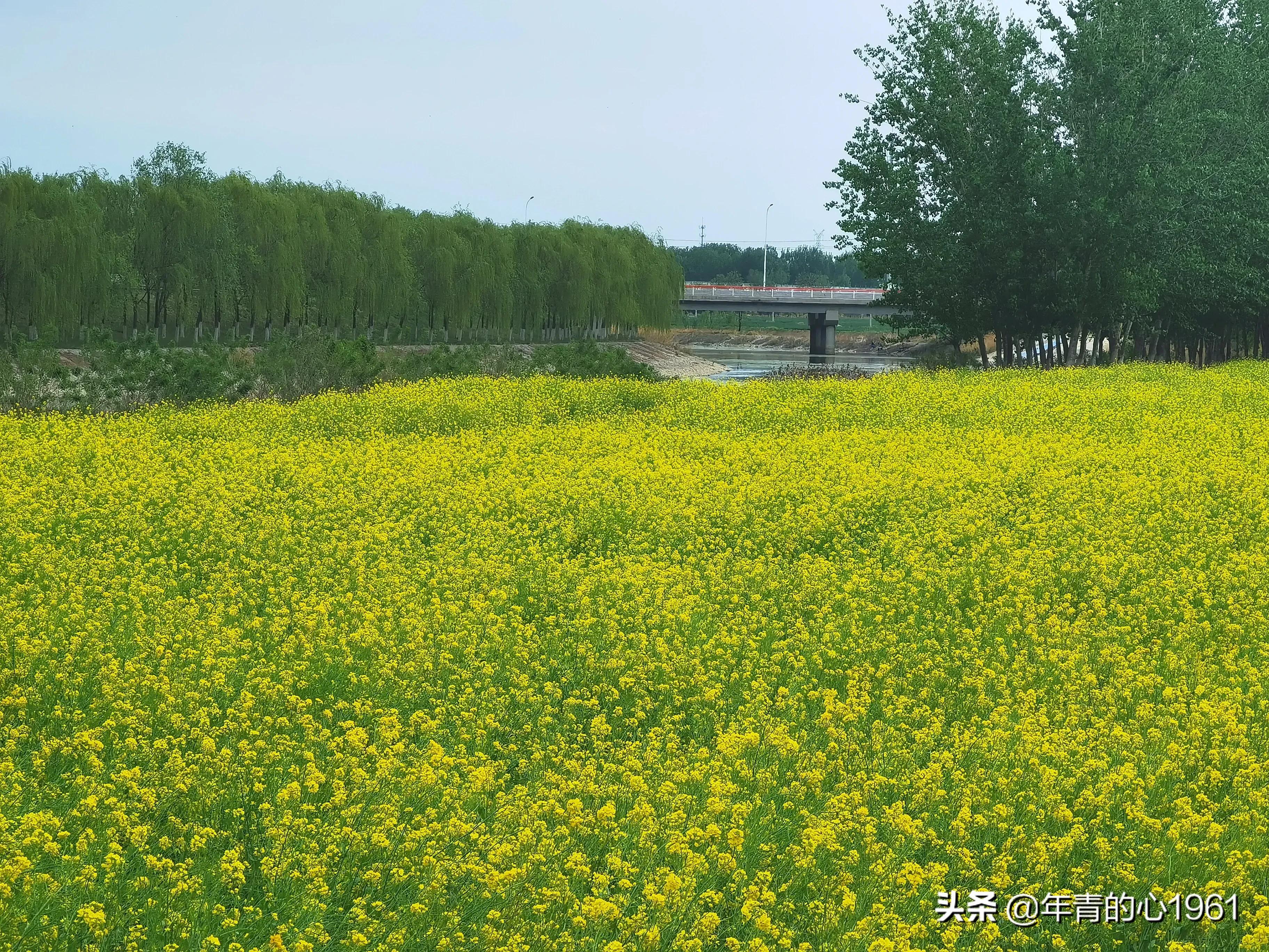 汽车户外自驾游装备经验所以，自驾游准备哪些东西