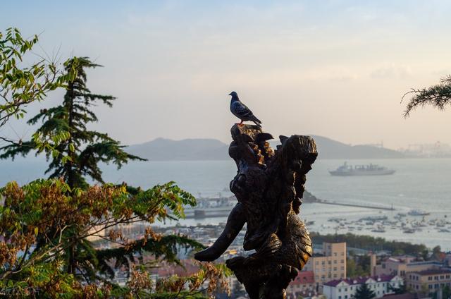 济源旅游景点哪里好玩，济源旅游攻略必去景点推荐（探寻济源周边自驾游胜地）