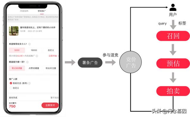 小红书如何申请薯条推广，小红书如何申请薯条推广码（小红书“薯条”业务竞价策略及最优公式详解）