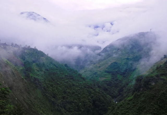 黑竹沟在四川的哪里，四川黑竹沟景区在哪里（诡异的四川禁地“黑竹沟”）