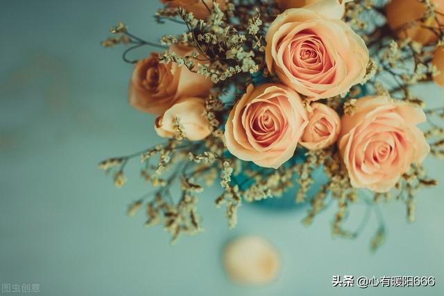 最感动的一段情话告白，最感动的一段情话告白朋友（最暖心的一段话）