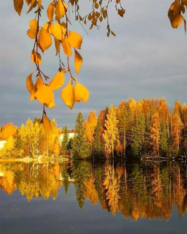 秋天是一个什么样的季节，秋天是一个什么样的季节写一段话（分享绝美秋色：叠翠流金）
