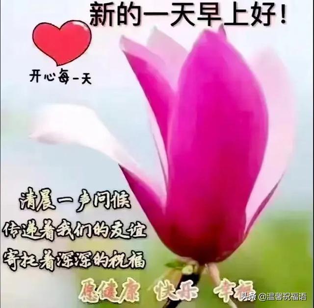 每天工作顺心的祝福语，每天工作顺心的祝福语简短（5月28日每天一清早）