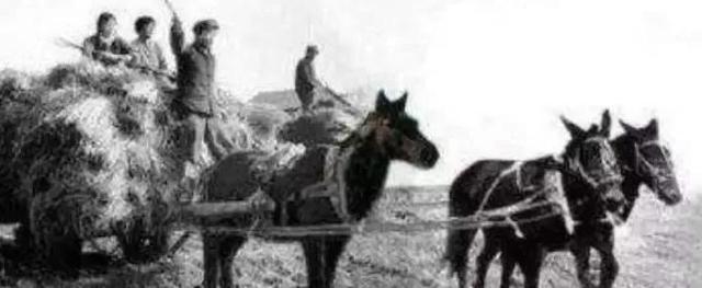 拉帮套是什么意思，拉帮套是啥意思 （拉帮套、截脚杆、拉旱船）