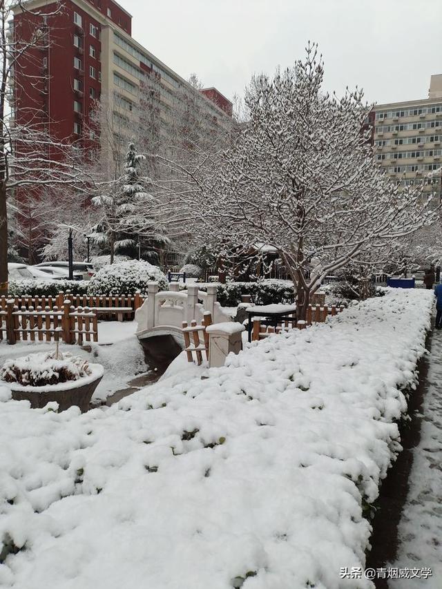 春天真美写一小段话，春天真美呀写句子（一场雪，让这里的春天真美）