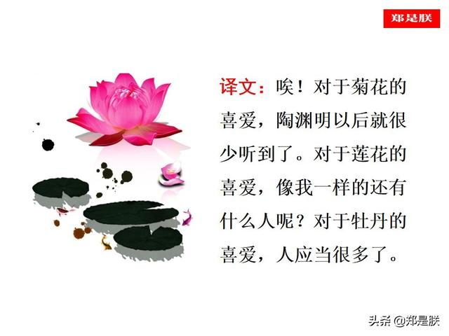 爱莲说原文朗读，爱莲说拼音版原文（部编人教版七年级语文下第17课《爱莲说》周敦颐-诵读+课件）