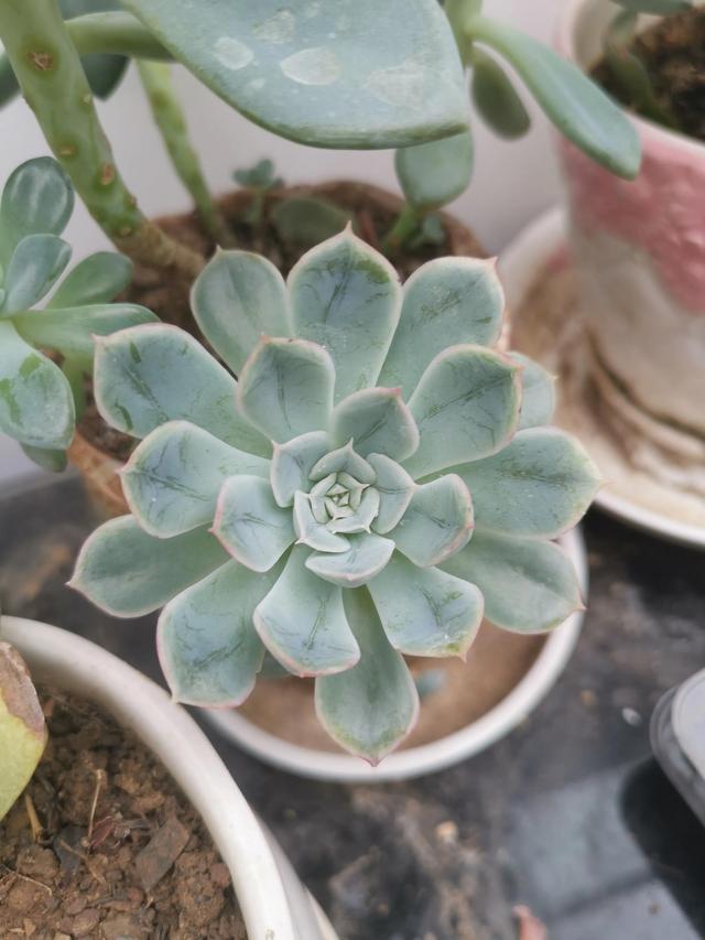 有哪些好听的网名，好看又好听的网名400个（都是些什么名字呢）