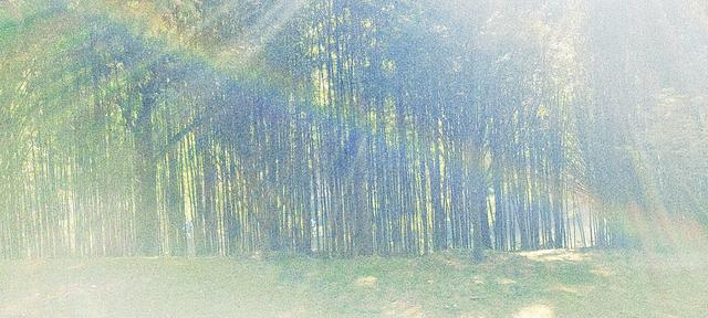 杭州二日游攻略，杭州二日游攻略自由行（杭州-武夷山二日游之绿野仙踪漫游道）