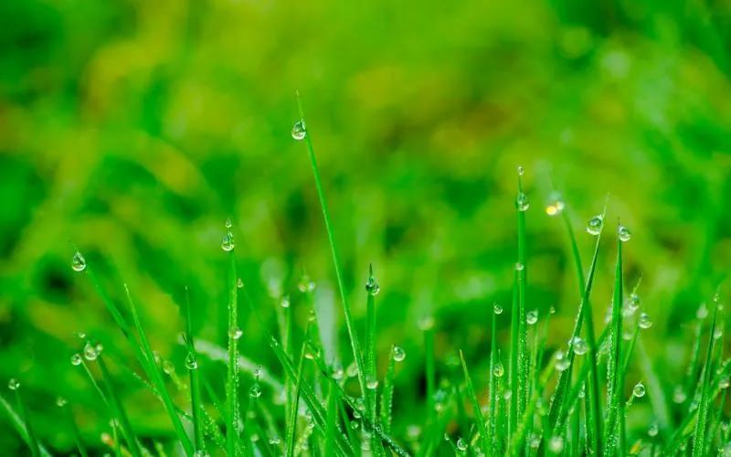 保护眼睛的桌面壁纸，经常对着电脑眼睛疼怎么办（保护眼睛从我做起…）