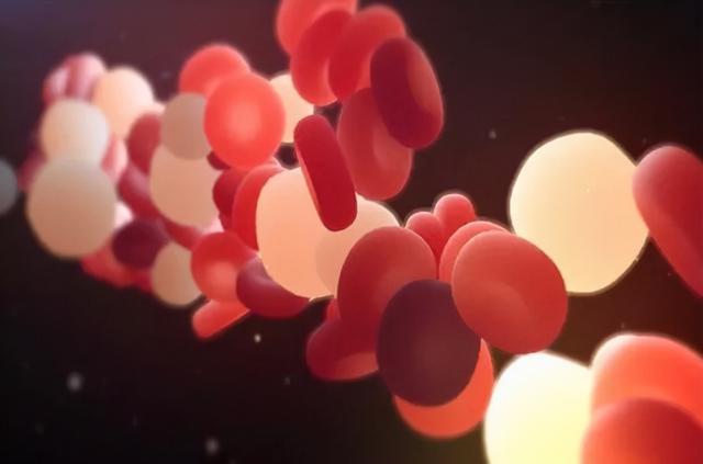 血小板高如何治疗，老年人血小板减少症治疗的最好方法（血小板减少的正确治疗方案是什么）