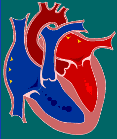 打胎药网上哪里有卖的，打胎药网上哪里有卖的吗（歪打正着的药物<三>）