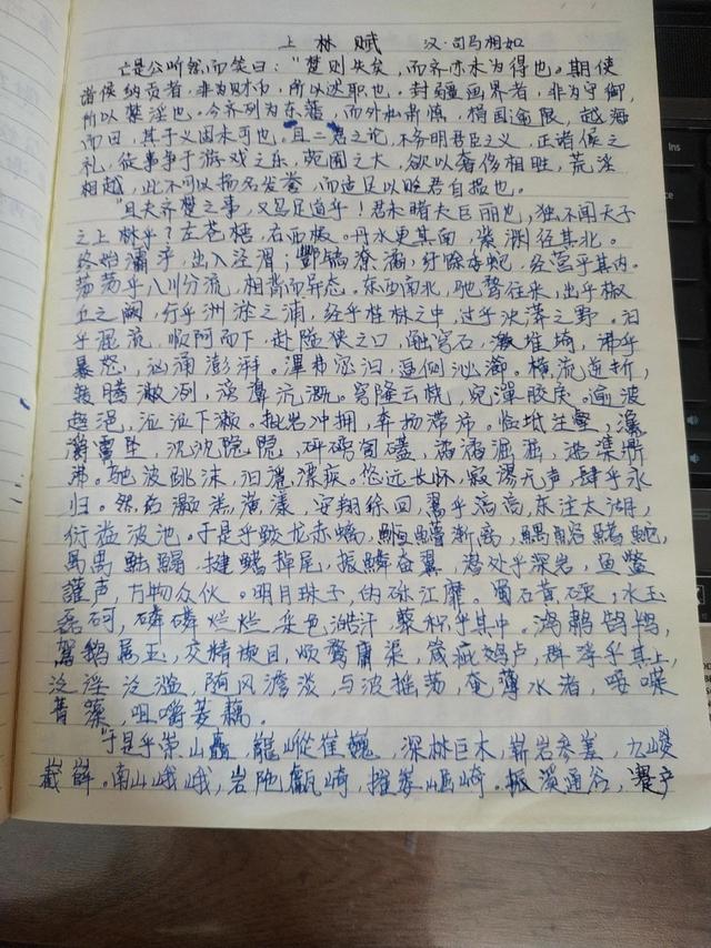 女生手抄上林赋是什么寓意，为什么要抄上林赋（手抄《上林赋》）