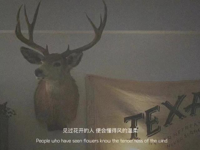 关于心情的说说，心情的说说（发朋友圈的情绪句子）