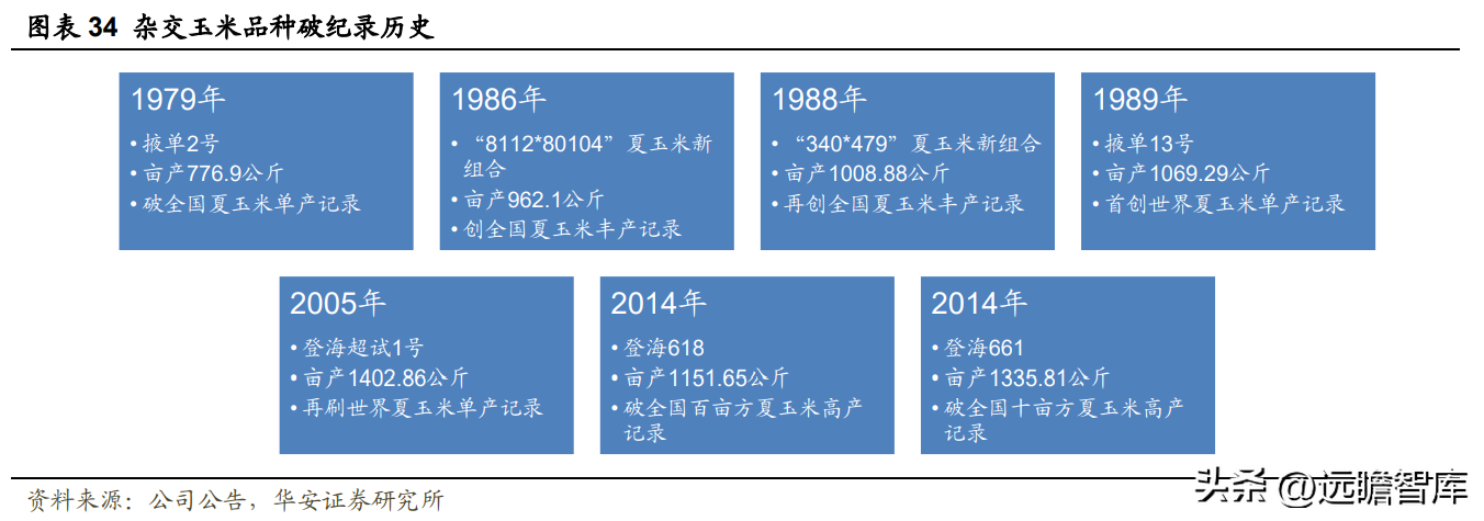 登海先锋种业（玉米种子领军企业）