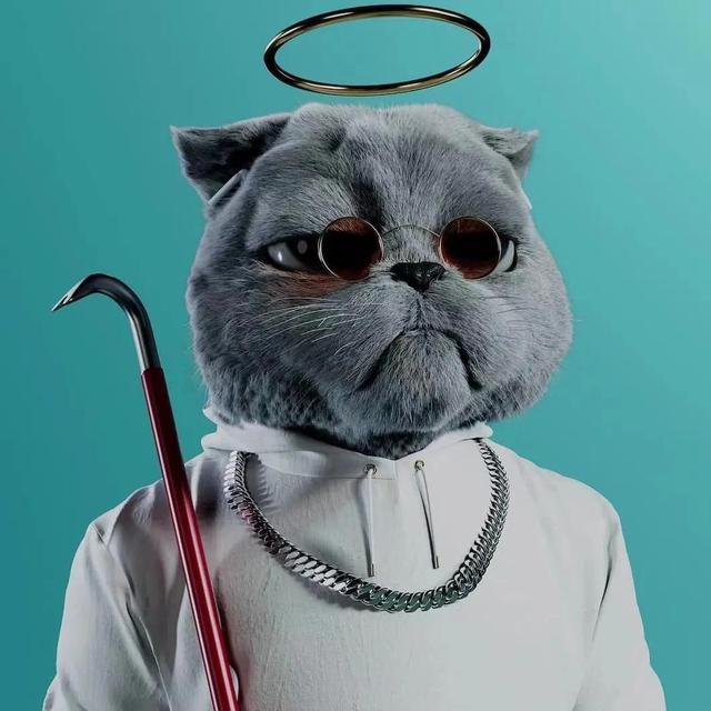 动物照片大全图片，好看的动物照片（微信高清动物头像）