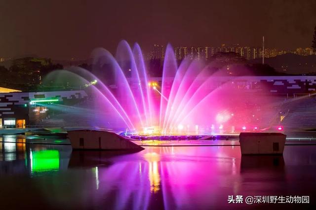 深圳世界之窗门票多少钱一张，深圳世界之窗晚上门票多少（动物园\u0026世界之窗/欢乐海岸水秀）