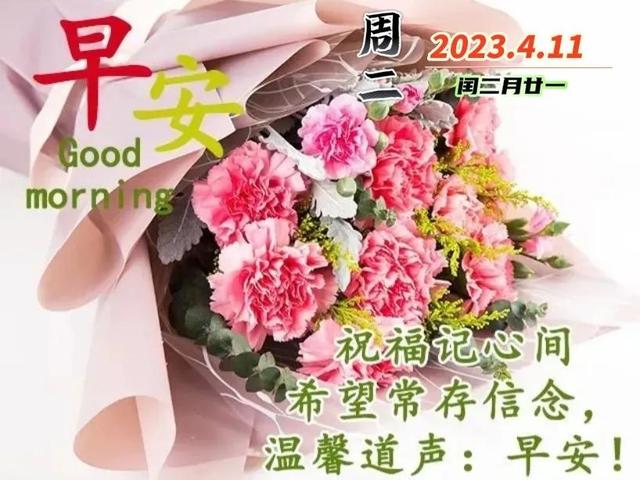我今天为你祝福，我今天为你祝福歌词（感恩有你早晨问候祝福语）