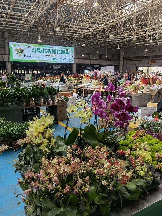 昆明一日游最佳景点一览表，昆明32个最适合一日游的免费景点（四季如春的昆明很适合旅游）