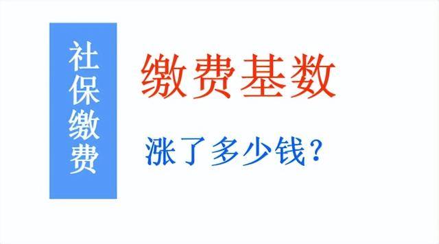 2021年社保缴费明细表档次，2021社保缴费档次表是怎样的（2022年社保缴费基数公布）